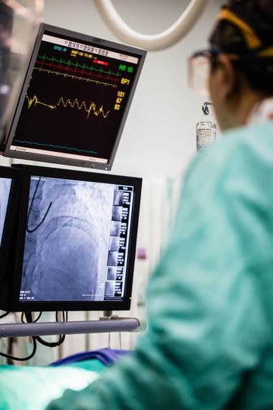 File:AdobeStock 280050594.jpg