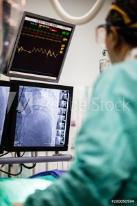 AdobeStock 280050594 Preview.jpeg